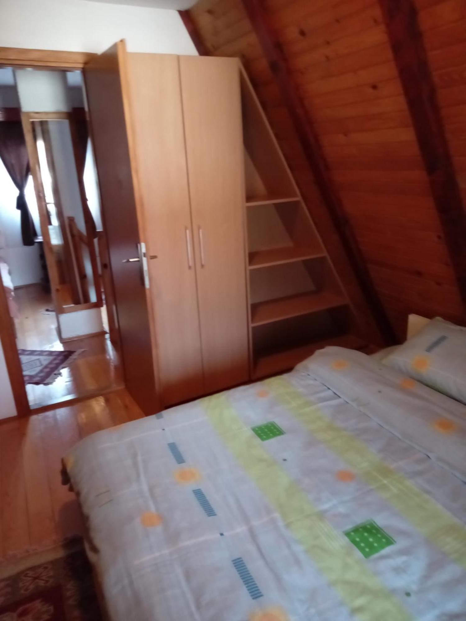 Planinska Kuca Dusan Mitrovac Extérieur photo